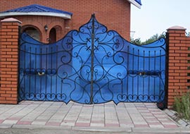 zaborpoli1
